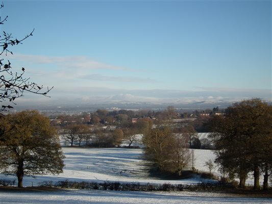 Winter walks